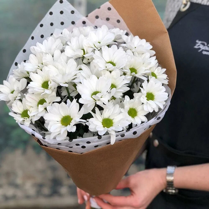 Хризантемы