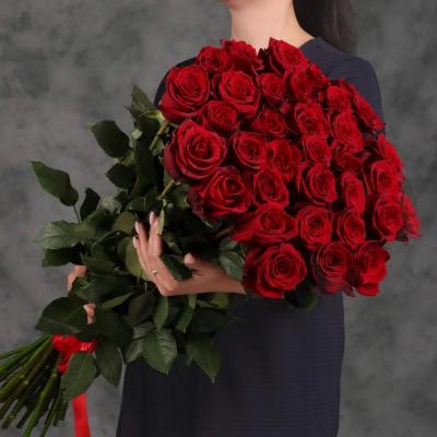 premiumroze