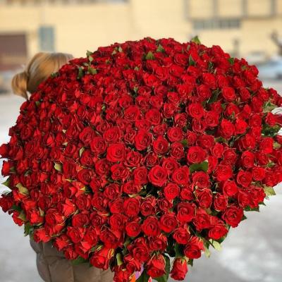 Большие Букеты из Кустовых Роз-1
