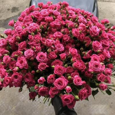 Большие Букеты из Кустовых Роз-8